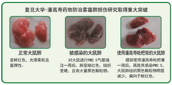 微信图片_20181116114451.jpg 微信图片_20181116114451.jpg