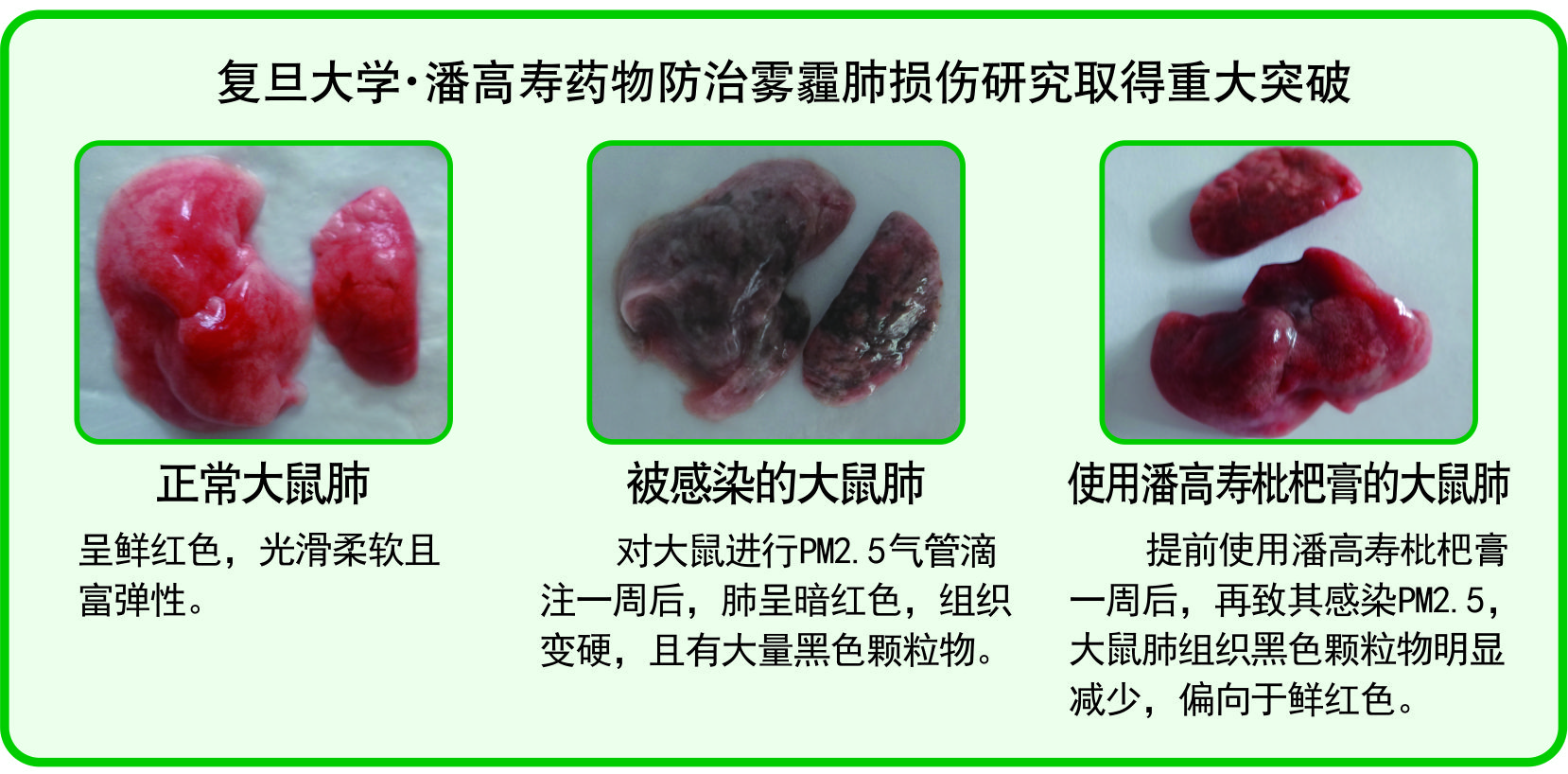 微信图片_20181116150816.jpg