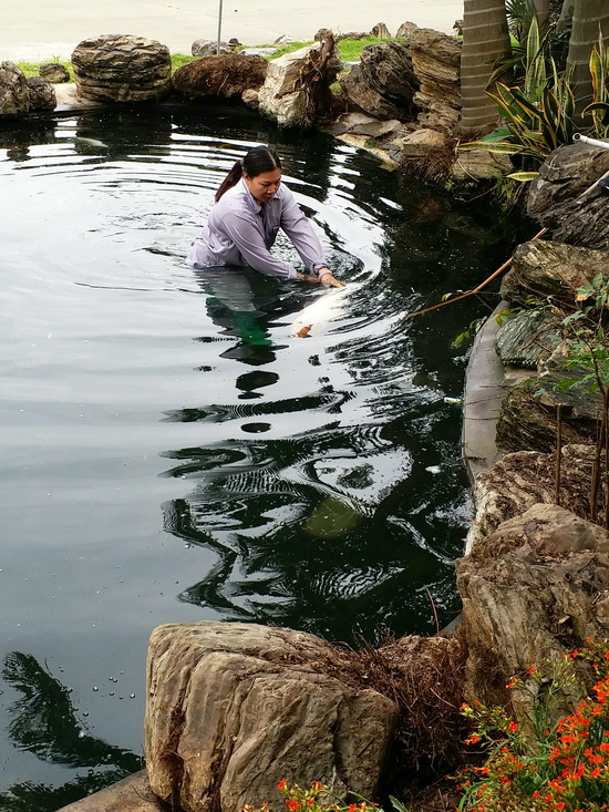 微信图片_20190305104834.jpg 微信图片_20190305104834.jpg